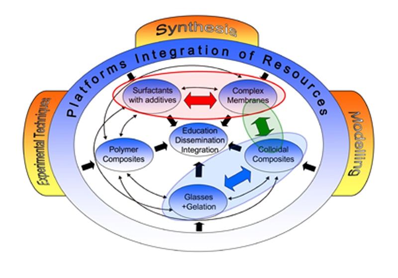 Pert diagram of the network structure symbolising the idea of SoftComp.