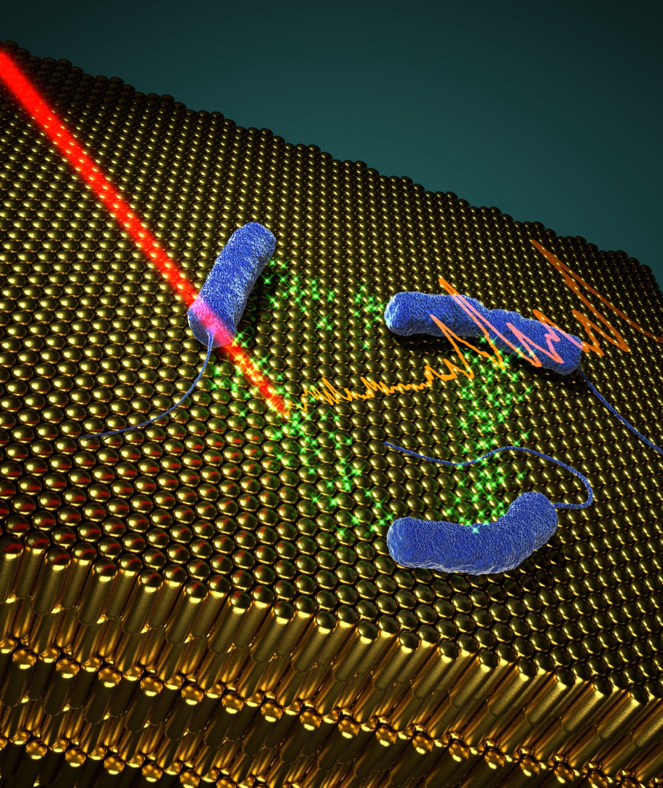 In situ SERRS detection of quorum sensing pyocyanin in cultures of P. aeruginosa bacteria grown on plasmonic nanostructured materials. Copyright: Andrea La Porta