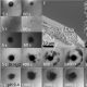 Optical images of dissolution of capsules with compositions highlighted in the figure showing (A-C) instantaneous, (D-E) sustained, pulsed and diffuse release. (F) High magnification images of the surface cracks of the capsule and (G) the emanating micron-sized nanoparticle clusters. (H) The droplet radius of the composite (D) capsule was found to remain approximately constant over time, and release of micron-sized nanoparticle clusters occurs in bursts, over long timescales, tuneable with pH. Copyright: Authors, taken without changes from 10.1126/sciadv.aao3353 which has been published under Creative Commons Licence CC BY 4.0 (https://creativecommons.org/licenses/by/4.0).