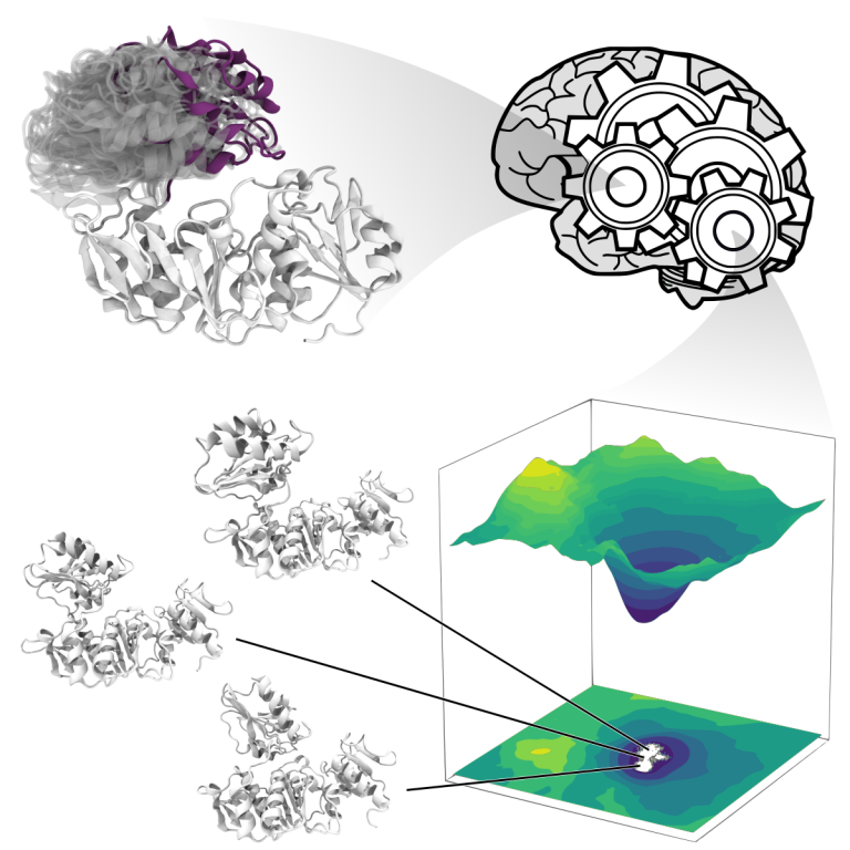 Sampling Protein Conformational Space