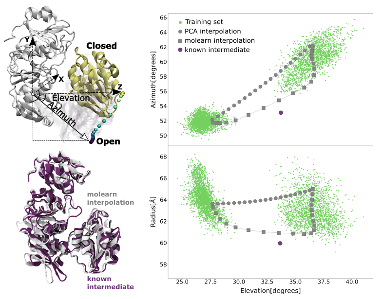 Interpolation between the open and closed state of the protein MurD, described in spherical coordinates. Unlike predictions based on principal components analysis (PCA), molearn generates a non-linear transition path closely resembling a known intermediate. Copyright: Durham University
