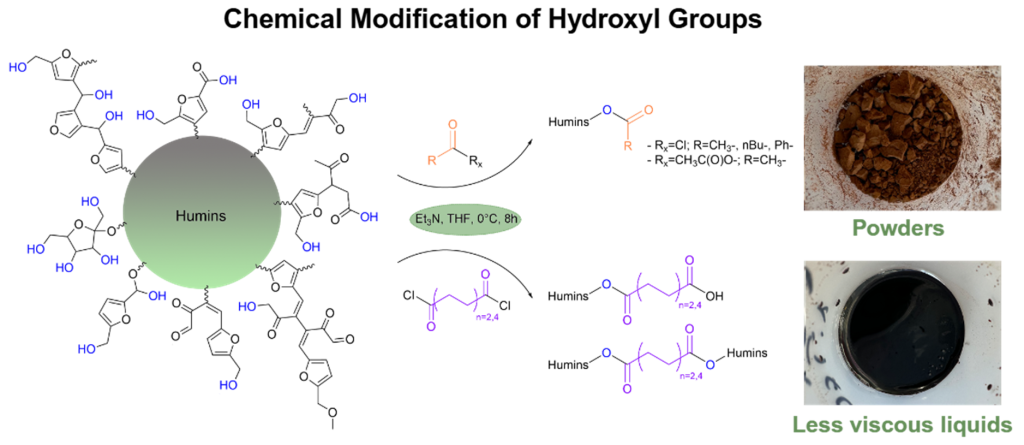 Fig. 1. Chemical modification of humins through their hydroxyl groups. The schematic shows the structure of humins, highlighting the reactive hydroxyl functionalities. After chemical modification, the photographs on the right display the powder product (top) and the less viscous liquid product (bottom). Copyright: Dilhan Kandemir. All rights reserved.