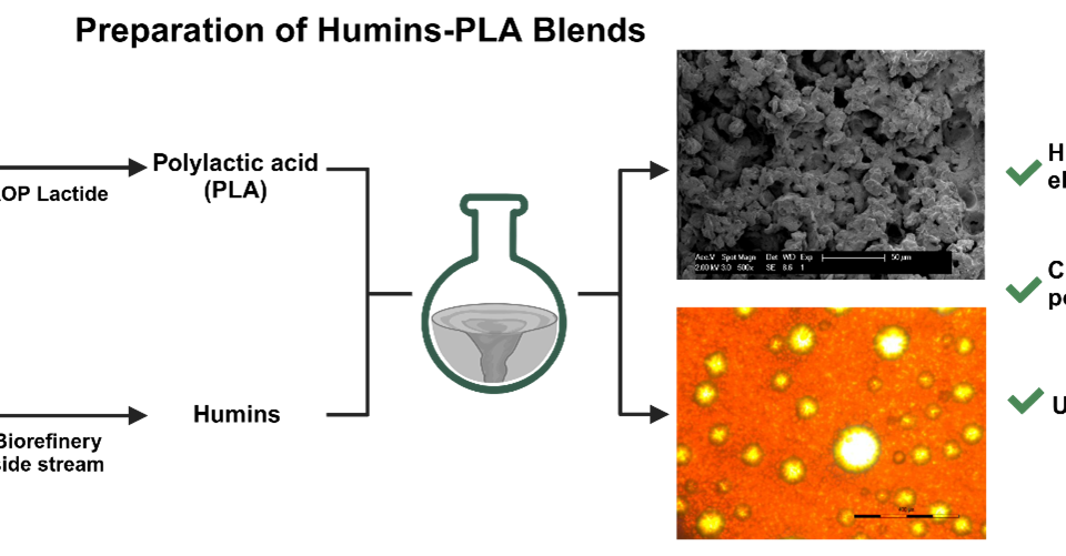 Fig. 2. Schematic illustration of the blending of humins and PLA, the production of humins from sugar-based feedstocks, and the production of PLA from sugar cane crop residues. Copyright: Dilhan Kandemir. All rights reserved.