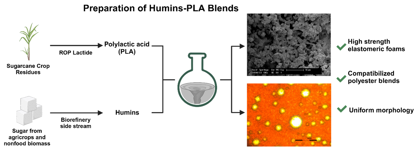 Fig. 2. Schematic illustration of the blending of humins and PLA, the production of humins from sugar-based feedstocks, and the production of PLA from sugar cane crop residues. Copyright: Dilhan Kandemir. All rights reserved.