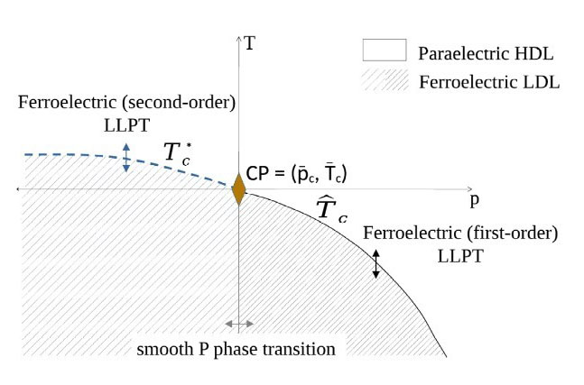 Fig. 1: Sketch of the polarization-density phase diagram in the temperature (T)-pressure (p) thermodynamic plane obtained from classical density functional theory. Copyright: 2024 the Authors. Published by PNAS under Creative Commons Attribution-NonCommercial License 4.0 (CC BY-NC-ND).