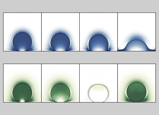 A liquid drop impacting a rigid non-wetting substrate starts spreading laterally (top column), whereas an elastic sphere deforms slightly and bounces off (bottom column). A new work bridges these two limits and offers a general framework for liquid-to-elastic transitions. Image copyright: Front cover image from S. Jana et al., Soft Matter 22, 2226-2236 (2026), https://doi.org/10.1039/D5SM01078K licensed under CC BY 3.0 by the Royal Society of Chemistry.