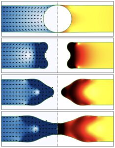 A trapped air bubble deforms a draining liquid sheet, but the defect does not cross the rupture threshold. Surface tension pulls the cavity back together and the sheet heals. Image copyright: the authors, adapted figure 2(a,b) published in Phys. Rev. Lett. 134, 054001 (2025), DOI: 10.1103/PhysRevLett.134.054001.