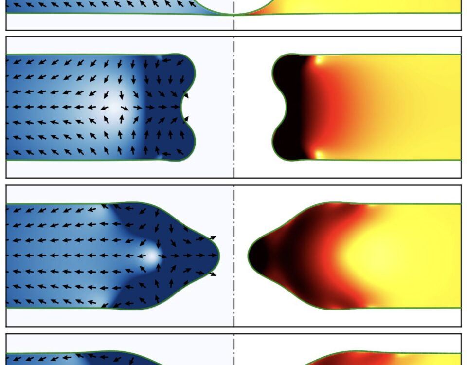 A trapped air bubble deforms a draining liquid sheet, but the defect does not cross the rupture threshold. Surface tension pulls the cavity back together and the sheet heals. Image copyright: the authors, adapted figure 2(a,b) published in Phys. Rev. Lett. 134, 054001 (2025), DOI: 10.1103/PhysRevLett.134.054001.