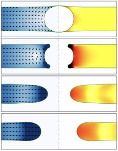 A trapped air bubble deforms a draining liquid sheet, but the defect does not cross the rupture threshold. Surface tension pulls the cavity back together and the sheet heals. Under stronger drainage, the same kind of bubble-driven defect crosses the double threshold: the cavity is sufficiently deformed and the outward flow overcomes surface tension. The rim retracts, the opening grows, and the sheet ruptures irreversibly. Image copyright: the authors, adapted figure 2(a,b) published in Phys. Rev. Lett. 134, 054001 (2025), DOI: 10.1103/PhysRevLett.134.054001.